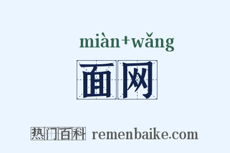 面网是什么意思的图片